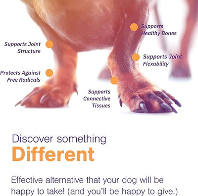MOVOFLEX Soft Chews Hip and Joint Support Supplement for Medium Dogs -120 Count by Virbac