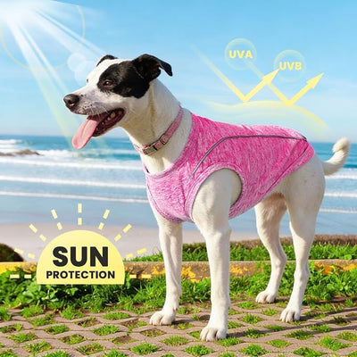 PETCARE Sun Protection Dog Shirts for Small Dogs Quick Dry Soft Stretchy Dog T-Shirts with Reflective Label Tank Top Sleeveless Vest Pet Clothes, Athletic Fabric, Pink, M (Chest 17" Length 13.8")