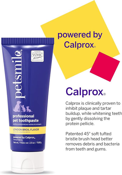 Petsmile Professional Pet Teeth Brushing Kit for Cats & Dogs - VOHC Accepted Toothpaste & Patented Toothbrush - Proven to Control Plaque & Tartar Calprox Formula (London Broil, 2.5 Oz)