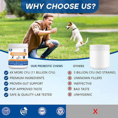 Probiotics for Dogs Dog Probiotic Chews for Yeast Itch Relief Ears Skin Coat, Gut Digestive Health & Immune Support with 11Billion CFU Probiotics, 6 Enzymes, 4 Prebiotics, Greek Yogurts, Pumpkin