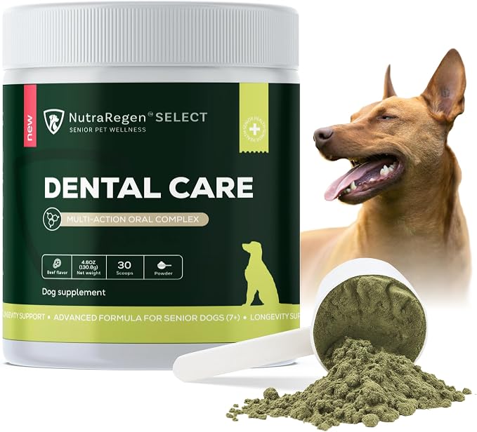 Dog Dental Powder 30 Scoops | Beef Flavored Dog Breath Freshener with Probiotic Blend for Oral & Gum Health | Pet Dental Powder Helps Manage Plaque & Tartar Buildup | 4.6 Oz