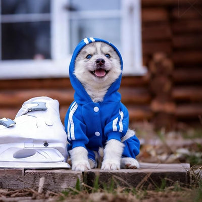 Dog Hoodie Security Clothes 4 Legs Jumpsuit Sweatshirt Hoodies Soft & Warm Dog Outfit Pullover Dog Winter Clothes Sweater for Small Medium Large Dogs Cats (Blue, X-Small)