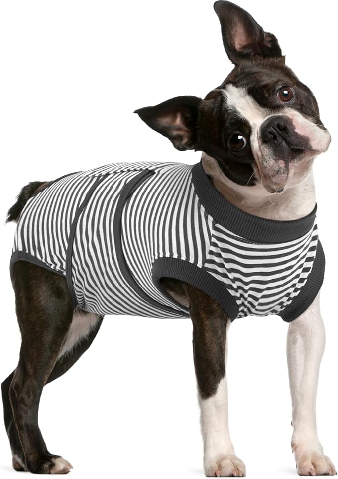 FUAMEY Dog Recovery Suit Male,Dogs Surgery Neuter Suits Puppy Spay Shirts for Female Onesie for Dogs After Surgery Surgical Recovery Suit Pet Bodysuit Alternative to Cone Gray Stripes L