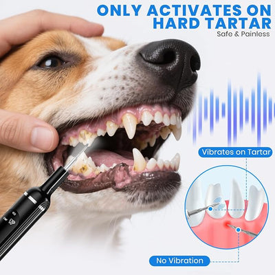 Pet Ultrasonic Tooth Cleaner,Dog Plaque Remover Tool,Black | dog teeth cleaning,plaque remover for teeth,dog tartar and plaque remover,plaque off for dogs,5 Mode Pet Teeth Cleaning Kit