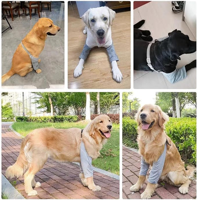 MANON ROSA Dog Elbow Pads – Knee Wrap Front Leg Sleeves for Large Dogs, Wound Protection & Anti-Licking Brace for Injured Legs or Joints (Sleeve Length 15.3inches, Suit. Wt 95-110lbs, 3XL, Gray)