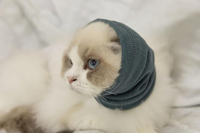 Cat Ear Cover Keep Calm for cat Ear Wrap Hematoma Compression Comfort Anxiety Relief for Bathing, Grooming, Thunderstorms & Fireworks Aqua Blue S