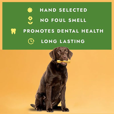 William Hunter Yak Cheese Himalayan Dog Chews - Long Lasting 100% Natural High Protein Dental Dog Chews for Aggressive Chewers (4 Large Sticks)