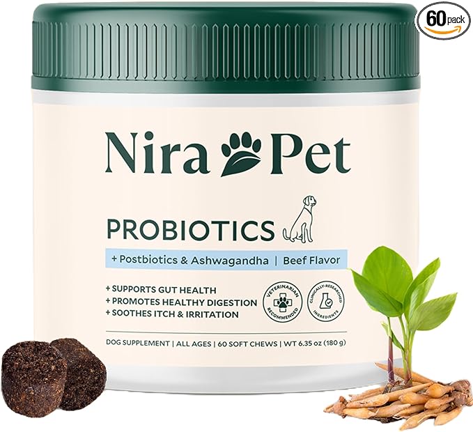 5-in-1 Anti-Itch Probiotics for Dogs – 2 Strain Formula for Itching, Allergies and Gut Health with Colostrum, Postbiotics – 60 Beef Chews