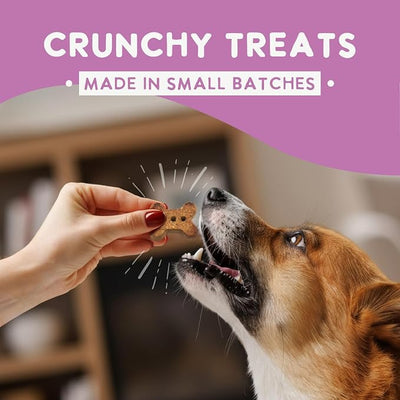 Health Extension Oven-Baked Dog Treats, Salmon Recipe – Gluten & Wheat-Free, Superfood-Infused, Crunchy Biscuits for Puppy Training (6oz)
