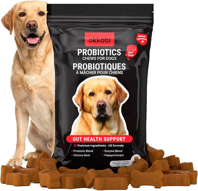 Probiotics for Dogs Chews - 60 pcs - Digestive & Gut Health Support - Probiotic Chews for Dogs with Enzymes & Natural Ingredients - US Formula - Beef Flavored