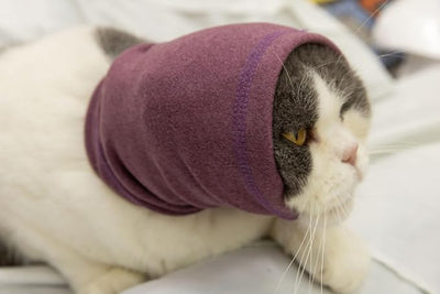 Cat Hematoma Ear Wrap, Cat Snood Anxiety Relief, Bath Accessories for Pet Grooming & Force Drying (Pail Lilac S)