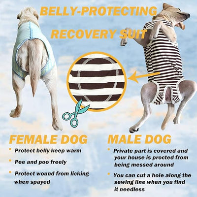 Dog’s Recovery Suit Post Surgery Shirt for Female Male Dog, E-Collar Alternative Wound Protective Clothes (Brwon White-XL)