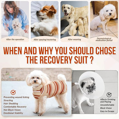 SlowTon Dog Recovery Suit - Surgery Recovery Suit for Female Male Dogs, Dog Onesie After Spay Abdominal Wounds, E-Collar Cone Alternative Prevent Licking Pet Surgical Suit(Brown,L)