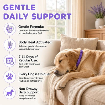 Calming Collar for Dogs 1 Pack, 30 Days Pheromone Dog Collar for Anxiety and Stress Support, Adjustable Dog Calming Collar for Small Medium Large Dogs, Waterproof, Purple