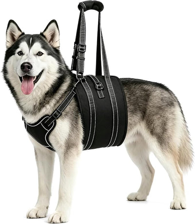 NOYAL Dog Lift Harness Sling - Adjustable Pet Carrier for Senior Dogs with Arthritis Joint Injuries, Emergency Support Rehabilitation Aid for Nail Trimming, Stairs Assistance