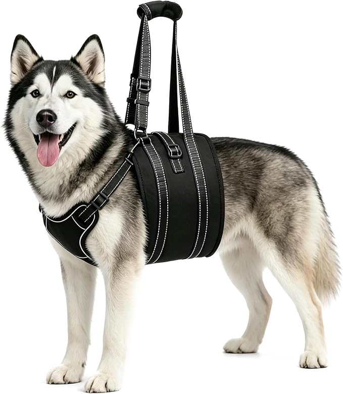 Dog Lift Harness Sling - Adjustable Pet Carrier for Senior Dogs with Arthritis Joint Injuries, Emergency Support Rehabilitation Aid for Nail Trimming, Stairs Assistance