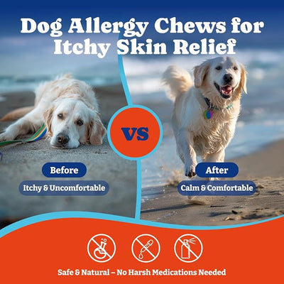 Dog Allergy Relief Chews – 180 Soft Chews, Duck & Pear Flavor - Immune Support & Itch Relief with Colostrum, Astragalus Root, 6-Strain Gut Health Blend, 2 Pack