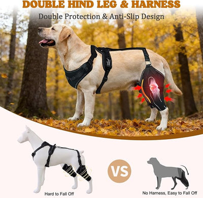 Dog Knee Braces for Back Leg, Adjustable Dog Leg Braces for Torn ACL Hind Leg with Metal Stabilizers, Better Recovery Knee Brace for Rear Leg Cruciate Ligament Injuries & Hip Dysplasia, L
