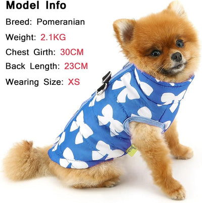 SMALLLEE_LUCKY_STORE Pet Water Resistant Winter Jacket Vest with D-Ring for Small Dog Cat Zip-up Padded Puppy Coat Chihuahua Yorkie Kitten Warm Clothes, Dark Blue, M