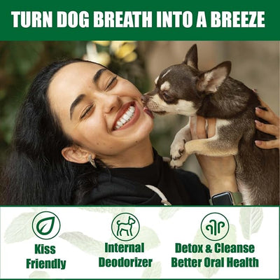 Chlorophyll for Dogs - Stop Stinky Breath, Natural Breath Freshener, Oxy-Fresh Water Additive & Drops Powder Formula (100g)