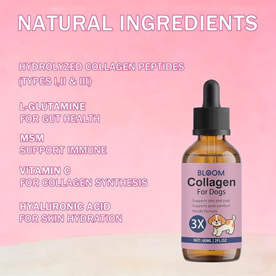 Bloom Collagen for Dogs, Liquid Support for Skin, Coat, Hips & Joints, Liquid Collagen for Dogs with Hyaluronic Acid, 2 Fl.oz