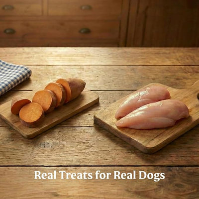 Bil-Jac Grain Free Soft Treats for Dogs, Chicken and Sweet Potato Flavor, Made with Real Chicken Liver, 10oz (2-Pack)