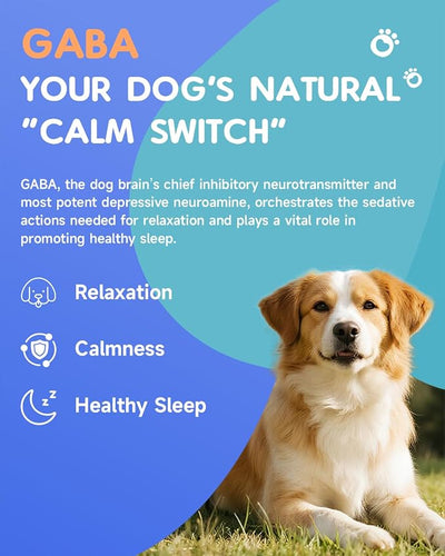 Dog Calming Drops for Anxiety Relief, Sleep Aid, Relaxing, 60ML | Dog Stress Relief During Travel, Firework, Thunderstorm, with GABA, Taurine, Astragalus, Schisandra, Roast Chicken Flavor