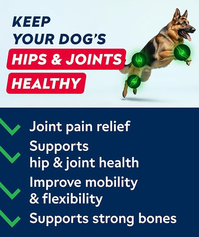Glucosamine Treats for Dogs - Joint Supplement w/Omega-3 Fish Oil - Chondroitin, MSM - Advanced Mobility Chews - Joint Pain Relief - Hip & Joint Care - Bacon Flavor - 240 Ct - Made in USA