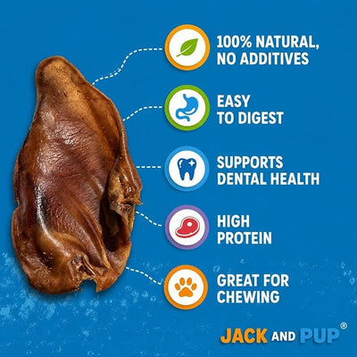 Jack&Pup Pig Ears for Dogs (10 Pack) - All Natural Single Ingredient Extra Thick Large Whole Pigs Ears - Premium Dog Pig Ear Treats - Natural Dog Pork Chews; Excellent Rawhide Alternative