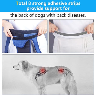 Coodeo Dog Back Brace for Dogs Arthritis, Pet Back Bracer for IVDD, Back Protector Helps Pain Relief, Surgical Recovery and Rehabilitation, Dogs Back Disease Prevention. (Pink,XX-Large)