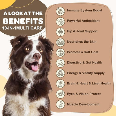 ZEBORA Dog Multivitamin with Probiotics - Dog Vitamins and Supplements - Multivitamin for Dogs with Glucosamine, Omega 3 and Probiotics for Dogs Digestion, Immunity, Joint, Skin and Coat - 180ct
