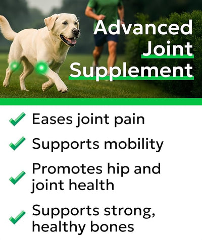 BARK&SPARK Glucosamine Treats for Dogs - Complete Hip and Joint Supplement for Dogs w/Glucosamine, Chondroitin, MSM - Mobility, Flexibility & Comfort Aid - All Breeds & Ages - 180Ct