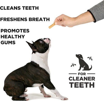 Hive Chew Sticks - Dental Treats for Dogs - Vegetarian, Made with Ground Peanuts & Honey, No Grain or Soy, Cleans Teeth & Freshens Breath (7 oz, Small Dogs - Peanut Butter)
