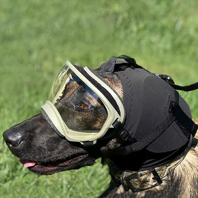 Rex Specs Ear Pro | Noise Cancelling Ear Wraps for Dogs | Dog Ear Muffs Noise Protection (03, Black)
