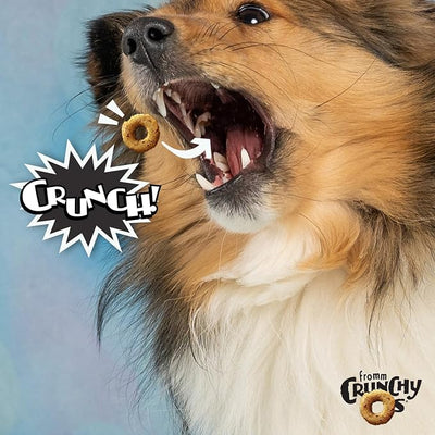 Fromm Crunchy Os Bacon Blasters Flavor Dog Treats - Premium Crunchy Dog Treats - Bacon Recipe - 6 oz