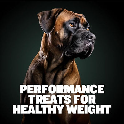Bully Max Weight Gainer Dog Chews for Puppies and Adult Dogs - High Calorie Dog Food Treats Performance Supplement for Healthy Weight Gain, Immunity & Digestion - 75 Soft Chews for All Breeds, 2 Packs