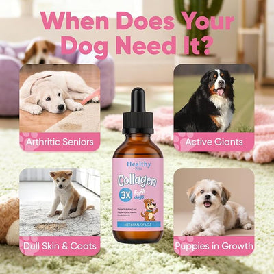 Healthy Petz Premium Liquid Collagen, HealthyPetz Liquid Collagen for Dogs, Supports Joint Relief & Healthy Skin Coat, Gut Health, Premium Collagens Supplement, 2 fl.oz