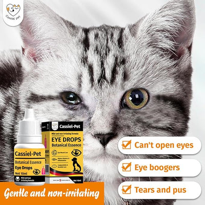 Eye Drops for Eye Infection Treatment, Soothe Infection Allergy, Relieve Dry Eyes & Red Eye，Eye Cleaner and Tear Stain Remover for Dogs and Cats | 10 ml 0.33 FL OZ (1 Bottle)