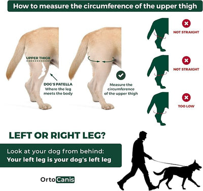Ortocanis Dog Knee Brace for Hind Leg Support – Flexible Neoprene Knee Brace for Dogs with Joint Instability, Torn ACL, Limping or Osteoarthritis – Comfortable Support for Recovery (Small, Right Leg)