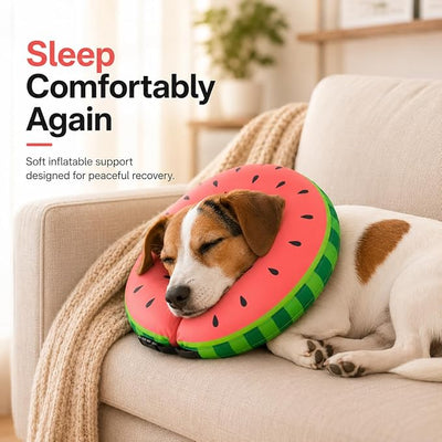 MIDOG Soft Inflatable Dog Cone, Donut E-Collar Alternative for After Surgery, Prevents Licking, Allowing Normal Eating & Vision, Comfortable Recovery Collar for Small Medium Large Dogs & Cats, Red-XL