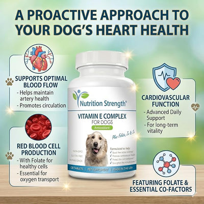 Vitamin E for Dogs, Promote Cardiovascular Health, Support Cell Membranes, Vitamin E Complex to Boost Dog Immune System Plus Zinc, Selenium, Folate, Salmon Oil, 120 Chewable Tablets