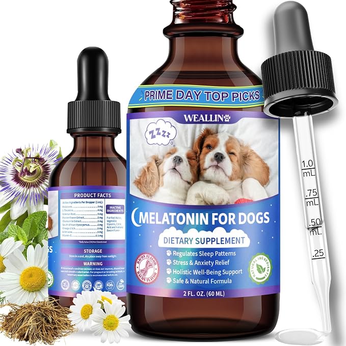 Melatonin for Dogs - Dog Melatonin with L-Theanine & Chamomile Bacon Flavor | Liquid Dog Melatonin with L-Theanine & Chamomile, Anxiety Relief & Calming, Relaxation & Sleep Support, Fast-Absorbing 60ML