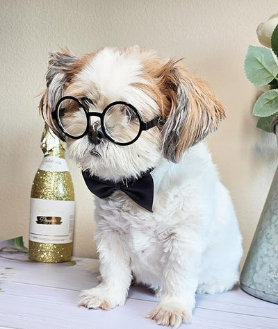 C25 Dog Pet Costume Set Sunglasses + Bow Tie for Small Breed up to 15lbs Adjustable Party Prop Cosplay Photoshoot (Sm Dog up to 15 LBS Round Black-Clear Lens +Black Bow tie)