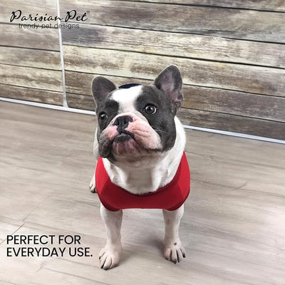 Parisian Pet World Champion Dog Tank Top - Breathable Cotton Pet Apparel - Red Puppy Clothes - Lightweight Doggie T Shirts for Dogs - Comfortable Sporty Dog Clothes - Summer Shirts for Large Dogs