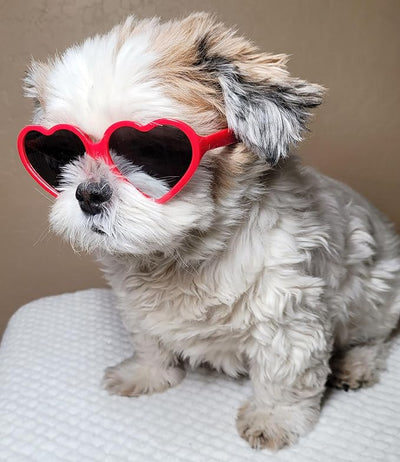 G016-1 Dog Pet Heart Costume Sunglasses for Small to Medium Breed (M, 12-25 lbs, Red-Mirror, JN)
