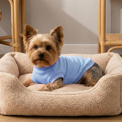 3 Pack Dog Shirt for Small Supplies Functional Waffle Dog Clothes Warm Soft Sweatshirt Outfit for Dogs Cats Pet Apparel