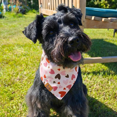 Valentine Dog Bandana, Reversible Heart Stripes Design, Soft Breathable Adjustable Scarf for Small Medium Large Dogs, Boy Girl Cute Holiday Outfit Accessory Gift