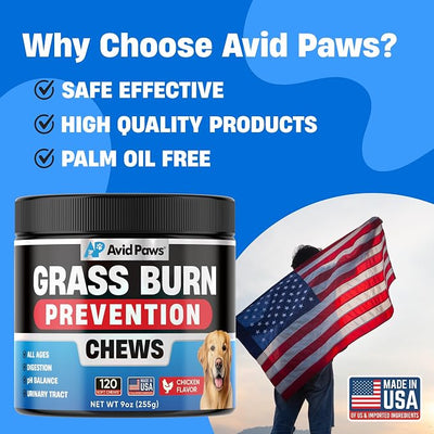 Dog Urine Neutralizer for Lawn - Green Grass Chews to Help Prevent Lawn Burn - Dog Pee Neutralizer & Grass Saver - Urinary & Bladder Support for All Breeds + Ages