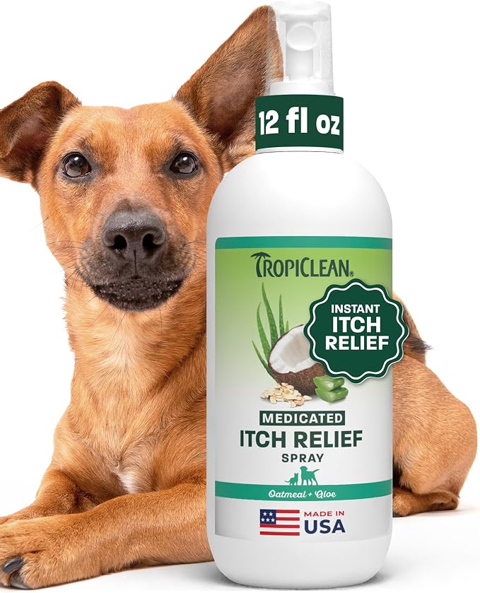 Medicated Itch Relief Deodorizing Spray, Oatmeal & Aloe Scented, Dog Perfume with Soothing Aloe, 12oz