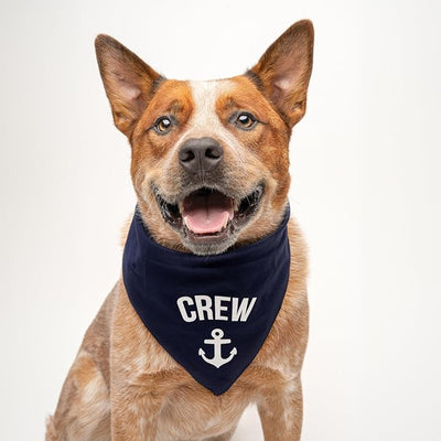 Crew Anchor Boat Dog Bandana | 100% Cotton | Made in USA | Boat & Fishing | Captain | Beach & Lake | Summer | Outdoors | Father's Day | Turquoise, One Size (265)